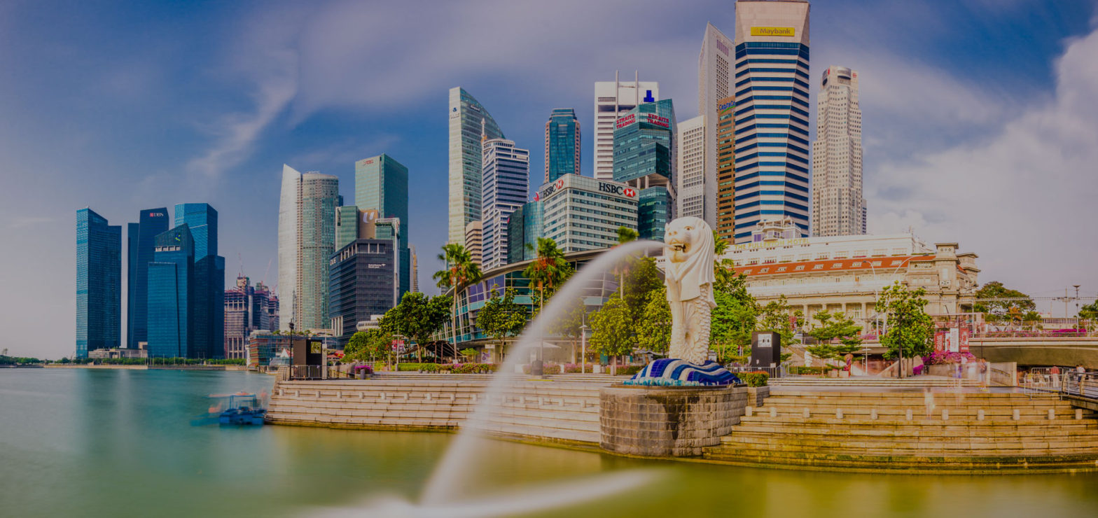 Singapore | Net One Asia
